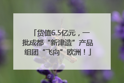 货值6.5亿元，一批成都“新津造”产品组团“飞向”欧洲！