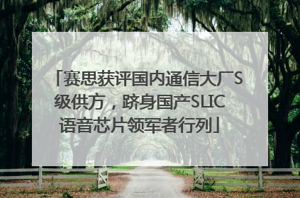 赛思获评国内通信大厂S级供方，跻身国产SLIC语音芯片领军者行列