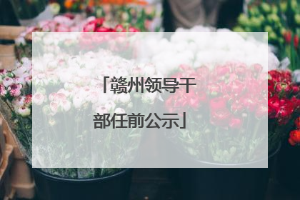 赣州领导干部任前公示