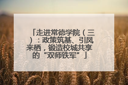 走进常德学院（三）：政策筑基、引凤来栖，锻造校城共享的“双师铁军”