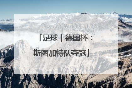 足球｜德国杯：斯图加特队夺冠
