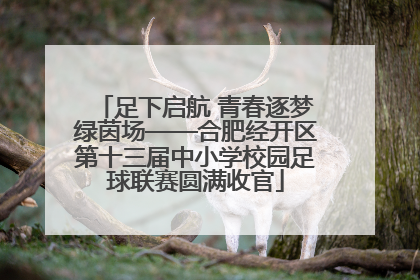 足下启航 青春逐梦绿茵场——合肥经开区第十三届中小学校园足球联赛圆满收官
