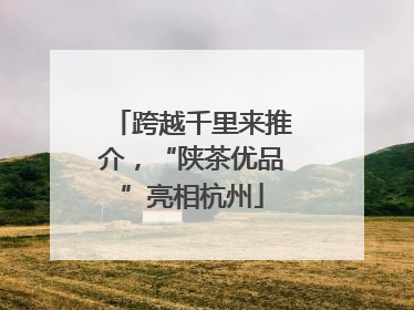 跨越千里来推介，“陕茶优品”亮相杭州
