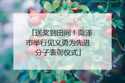 送奖到田间！菏泽市举行见义勇为先进分子表彰仪式