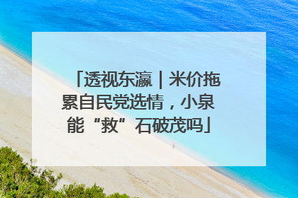 透视东瀛｜米价拖累自民党选情，小泉能“救”石破茂吗