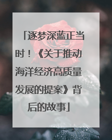 逐梦深蓝正当时！《关于推动海洋经济高质量发展的提案》背后的故事