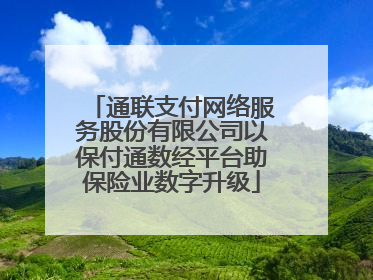 通联支付网络服务股份有限公司以保付通数经平台助保险业数字升级