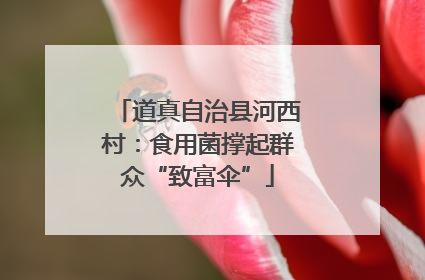 道真自治县河西村：食用菌撑起群众“致富伞”