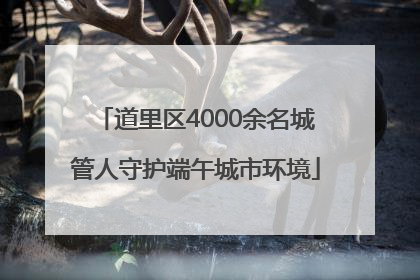 道里区4000余名城管人守护端午城市环境