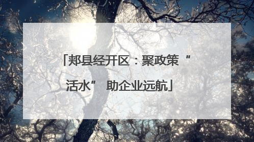 郏县经开区：聚政策“活水” 助企业远航