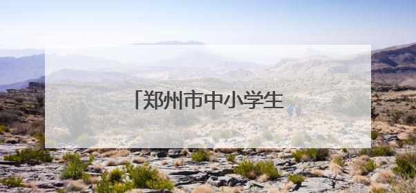 郑州市中小学生荷球锦标赛落幕