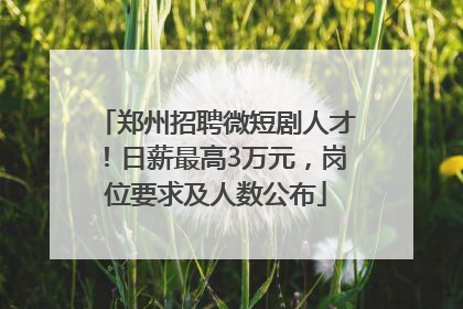 郑州招聘微短剧人才！日薪最高3万元，岗位要求及人数公布