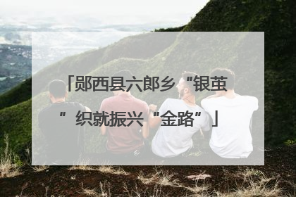 郧西县六郎乡“银茧”织就振兴“金路”