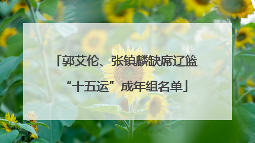 郭艾伦、张镇麟缺席辽篮“十五运”成年组名单