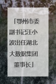 鄂州市委副书记汪小波出任湖北大数据集团董事长