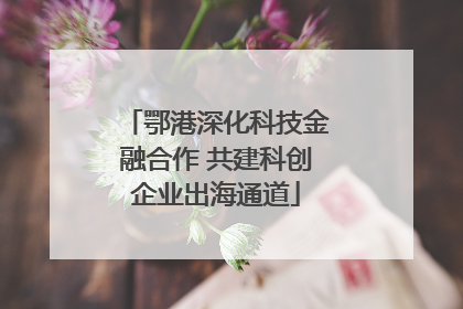 鄂港深化科技金融合作 共建科创企业出海通道