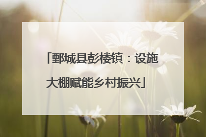 鄄城县彭楼镇：设施大棚赋能乡村振兴