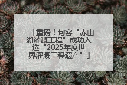 重磅！句容“赤山湖灌溉工程”成功入选“2025年度世界灌溉工程遗产”