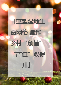 重塑湿地生命网络 赋能乡村“颜值”“产值”双提升