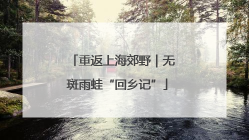 重返上海郊野｜无斑雨蛙“回乡记”