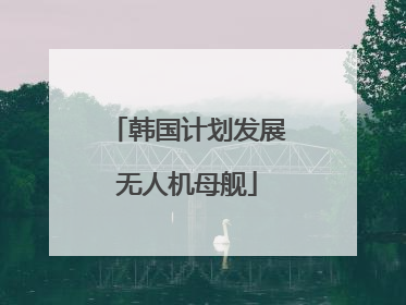 韩国计划发展无人机母舰