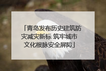 青岛发布历史建筑防灾减灾新标 筑牢城市文化根脉安全屏障