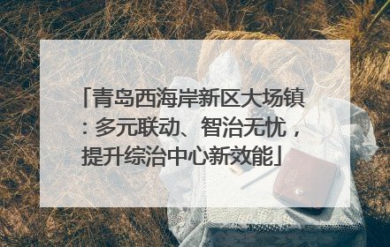 青岛西海岸新区大场镇：多元联动、智治无忧，提升综治中心新效能