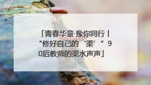 青春华章·豫你同行丨“修好自己的‘渠’”90后教师的渠水声声