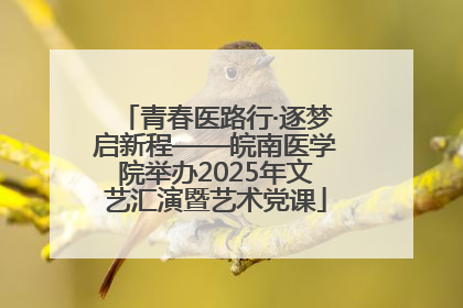 青春医路行·逐梦启新程——皖南医学院举办2025年文艺汇演暨艺术党课