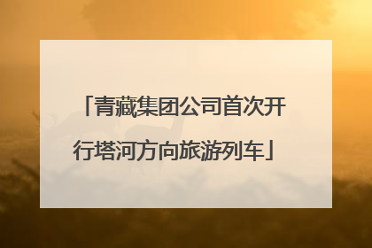 青藏集团公司首次开行塔河方向旅游列车