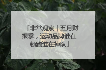 非常观察｜五月财报季，运动品牌谁在领跑谁在掉队