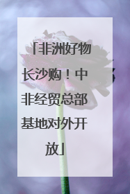 非洲好物长沙购！中非经贸总部基地对外开放