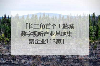 长三角首个！盐城数字视听产业基地集聚企业113家