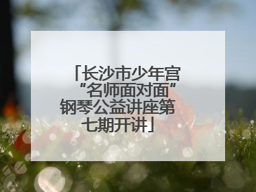 长沙市少年宫“名师面对面”钢琴公益讲座第七期开讲