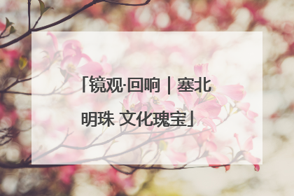 镜观·回响｜塞北明珠 文化瑰宝