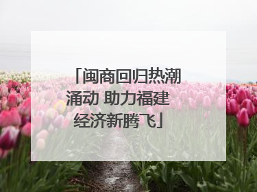 闽商回归热潮涌动 助力福建经济新腾飞