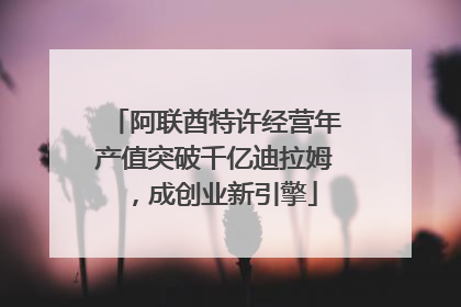 阿联酋特许经营年产值突破千亿迪拉姆，成创业新引擎