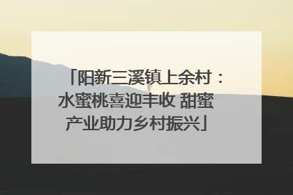 阳新三溪镇上余村：水蜜桃喜迎丰收 甜蜜产业助力乡村振兴