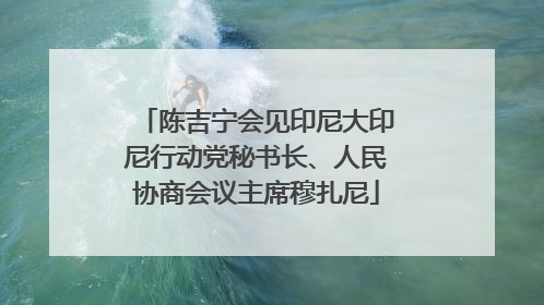 陈吉宁会见印尼大印尼行动党秘书长、人民协商会议主席穆扎尼