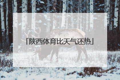 陕西体育比天气还热