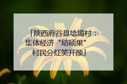 陕西府谷县埝墕村：集体经济“结硕果” 村民分红笑开颜