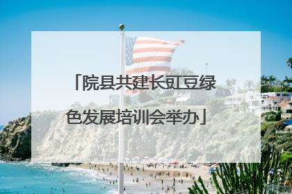 院县共建长豇豆绿色发展培训会举办