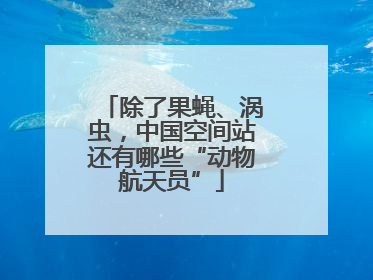 除了果蝇、涡虫，中国空间站还有哪些“动物航天员”