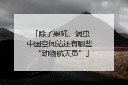 除了果蝇、涡虫 中国空间站还有哪些“动物航天员”