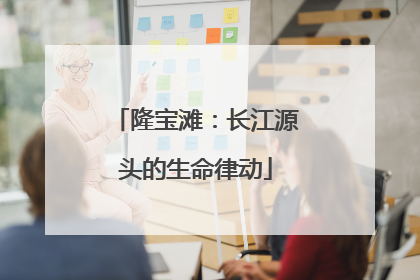 隆宝滩：长江源头的生命律动