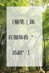 随笔｜我在现场看“苏超”