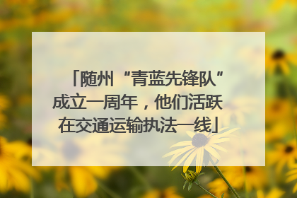 随州“青蓝先锋队”成立一周年，他们活跃在交通运输执法一线