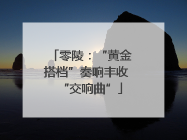 零陵：“黄金搭档”奏响丰收“交响曲”