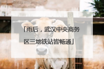 雨后，武汉中央商务区三地铁站皆畅通