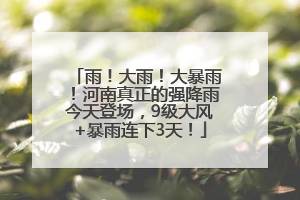 雨！大雨！大暴雨！河南真正的强降雨今天登场，9级大风+暴雨连下3天！